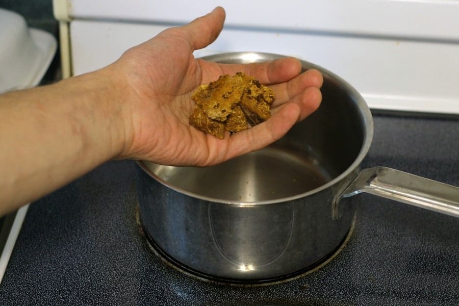 4 to 5 chunks of chaga to be used for making chaga tea