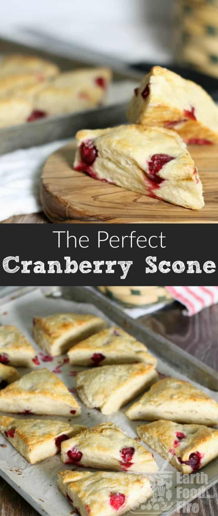 These cranberry scones are exceptionally easy to make, perfect for breakfast or tea time, and just the right combination of sweet and tart. A simple recipe, any level baker can attempt! #cranberry #scones #breakfast #baking #brunch