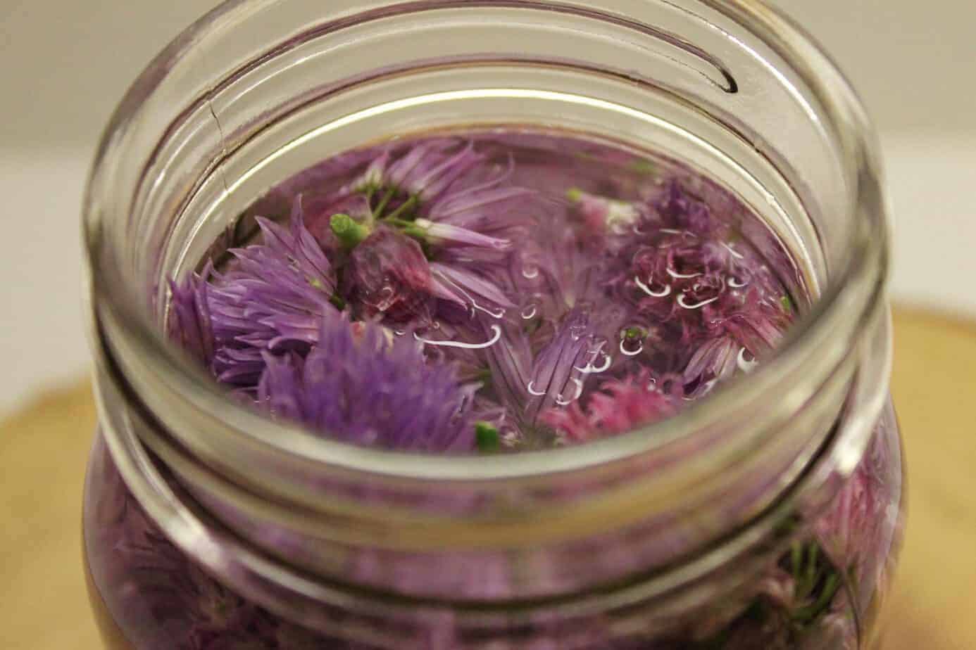 Chive blossoms soaking in white vinegar