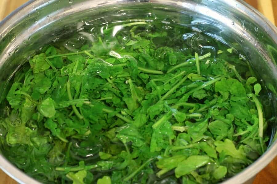 blanched arugula being shocked in a bowl of ice water